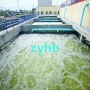天津：全國(guó)首家全能污水處理廠(chǎng) 污水污泥再生水一站全搞定